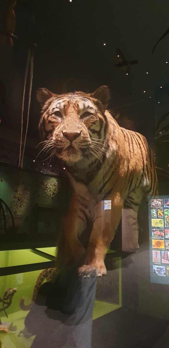 c_osazuwa's tweet image. #FUNemployed #PlayingTourist