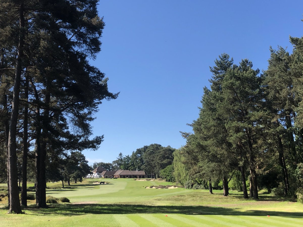 Rich Keith (@r2keith) on Twitter photo Surfaces looking good heading into the second competition of the golf festival <a href="/FerndownGC/">Ferndown Golf Club</a> Surfaces looking good heading into the second competition of the golf festival <a href="/FerndownGC/">Ferndown Golf Club</a>