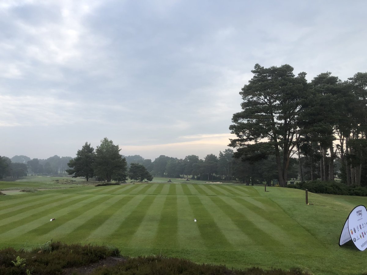 R2keith's tweet photo. Surfaces looking good heading into the second competition of the golf festival @FerndownGC https://t.co/QlhDQnNqmV