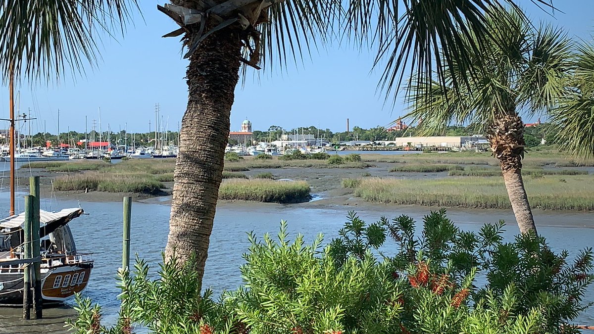 Christopher A. Eagle tweet media