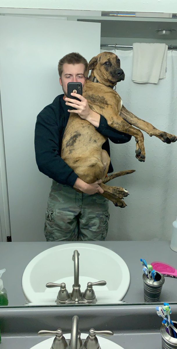 The_Rupp's tweet photo. Briggs grew a little since we got him in February. https://t.co/brDXni6HLW