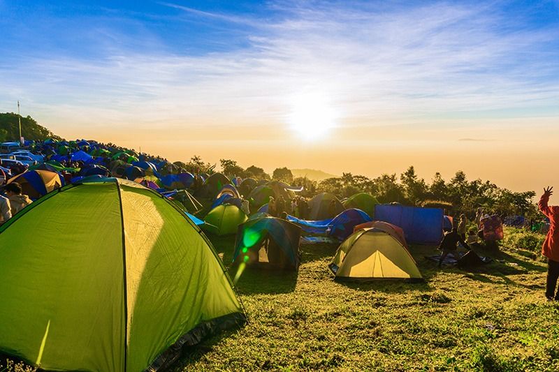 MDelivers's tweet photo. Festival season is finally upon us!  Learn how to prepare yourself for a proper stoner-friendly festival experience!  https://t.co/DvJXIdVJUv https://t.co/W3cXZDqITR