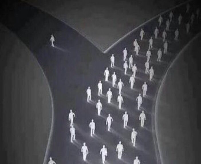 LetsGoFishin60's tweet image. When you choose to go your own way, you have taken the first steps towards your dreams.