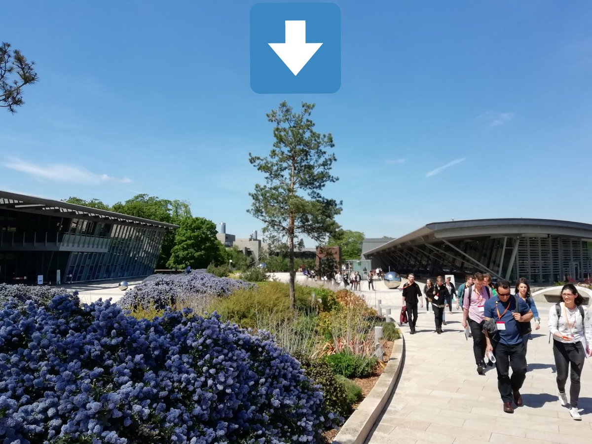 SamWithamPhD's tweet image. Learning all things molecular evolution at the @wellcomegenome campus. Tree inference skills improved #CoME2019 #ComputationalMolecularEvolution