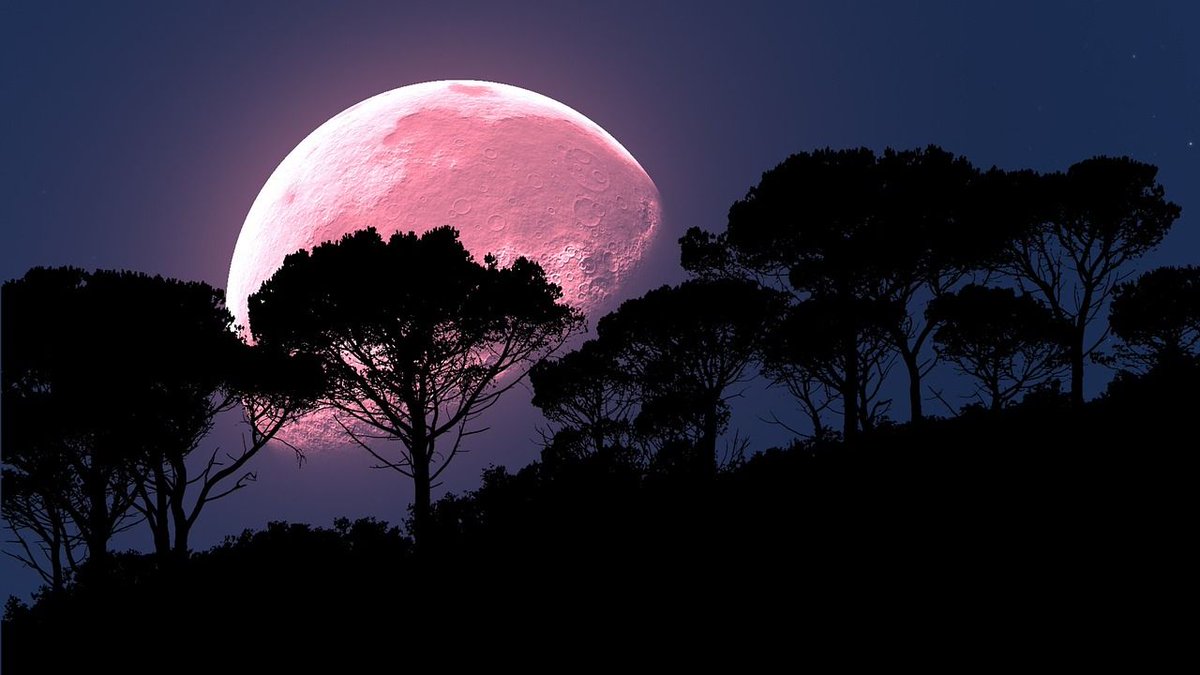 604Now's tweet photo. A Full Strawberry Moon will illuminate the skies over #Vancouver next month https://t.co/5SkPGfz7Ou https://t.co/VuE0PsN7Sp
