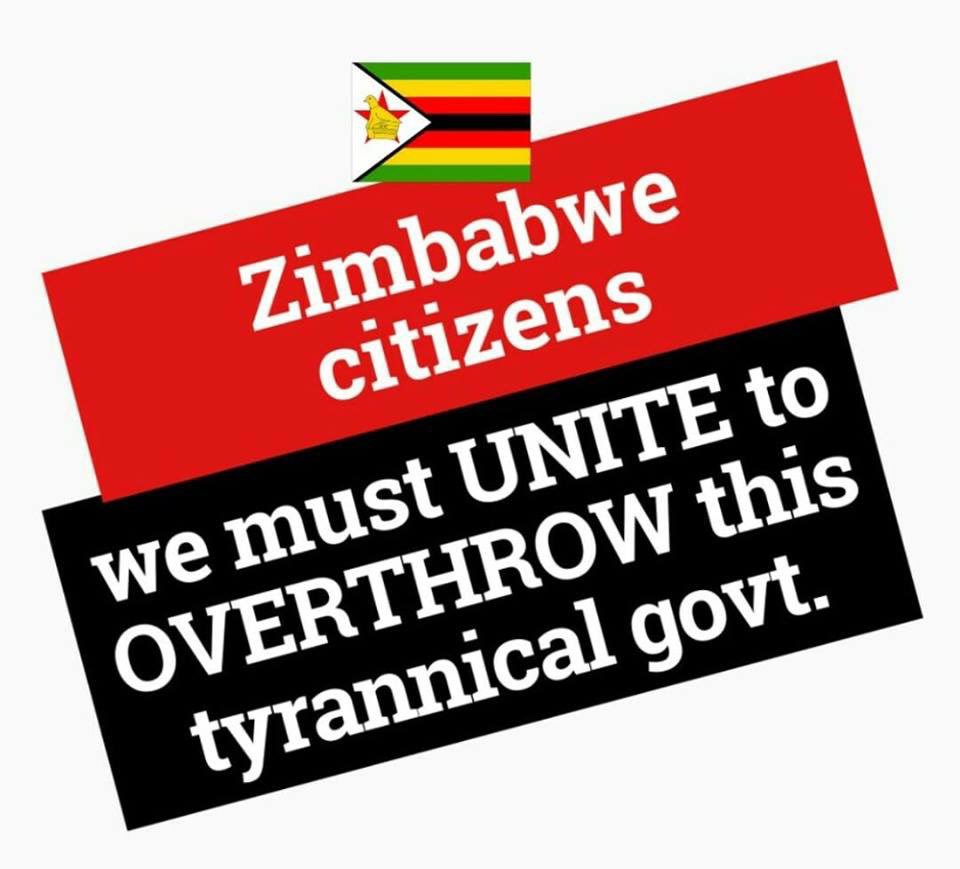 @DrVChimhutu @LynneStactia @D_Nyambiya @NzouJnr @cazawaty @HillaryMusarur2 @DavidColtart @MurunguMutema @ZimbabweYadzoka The only sensible thing left is 👇🏾👇🏾