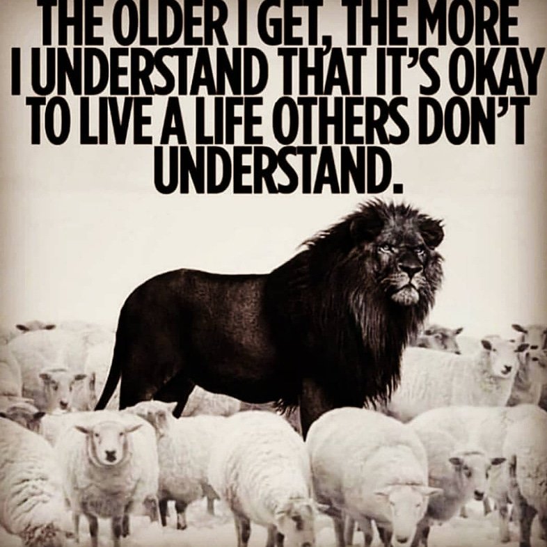 katiecatcummins's tweet image. True that

#lion #sheep #oktobedifferent #liveyourlife #liveyourbestlife #lifestyle #swingersclub #polly