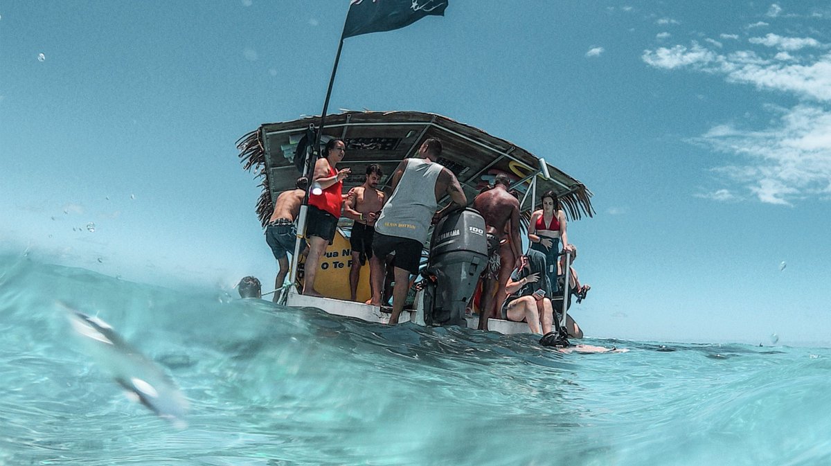 kaiserbaas's tweet image. In the market for an Action Cam that shoots in 4K? 
Buyer beware of the fakes and check out this useful guide to make sure you're buying a True 4K camera. buff.ly/2HiPP5r