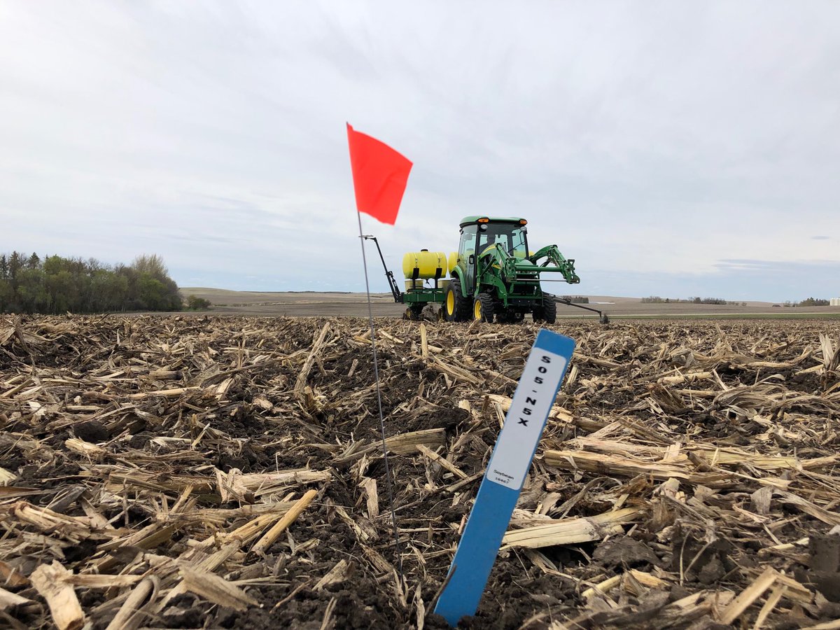 Planted a corn and soybean plot by Woodworth today! ⁦<a href="/NorthernNK/">NKNorthern</a>⁩