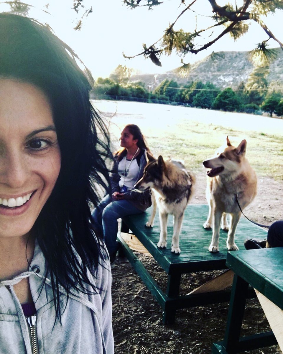 AlexisIacono's tweet photo. I rarely post about Horoscope hulabaloo but today the Sun enters #Gemini 👬#Release 💙While the Moon in #Scorpio 🦂 #Healing Feeling that intense intuitive sensual calm. Photo explains today. Bonding w/ #AlaskanTimberWolves #MyersBriggs #ESFJA #CarlJung #BabyScorpio 🦂👁#Howl https://t.co/ilVkwZkfOC