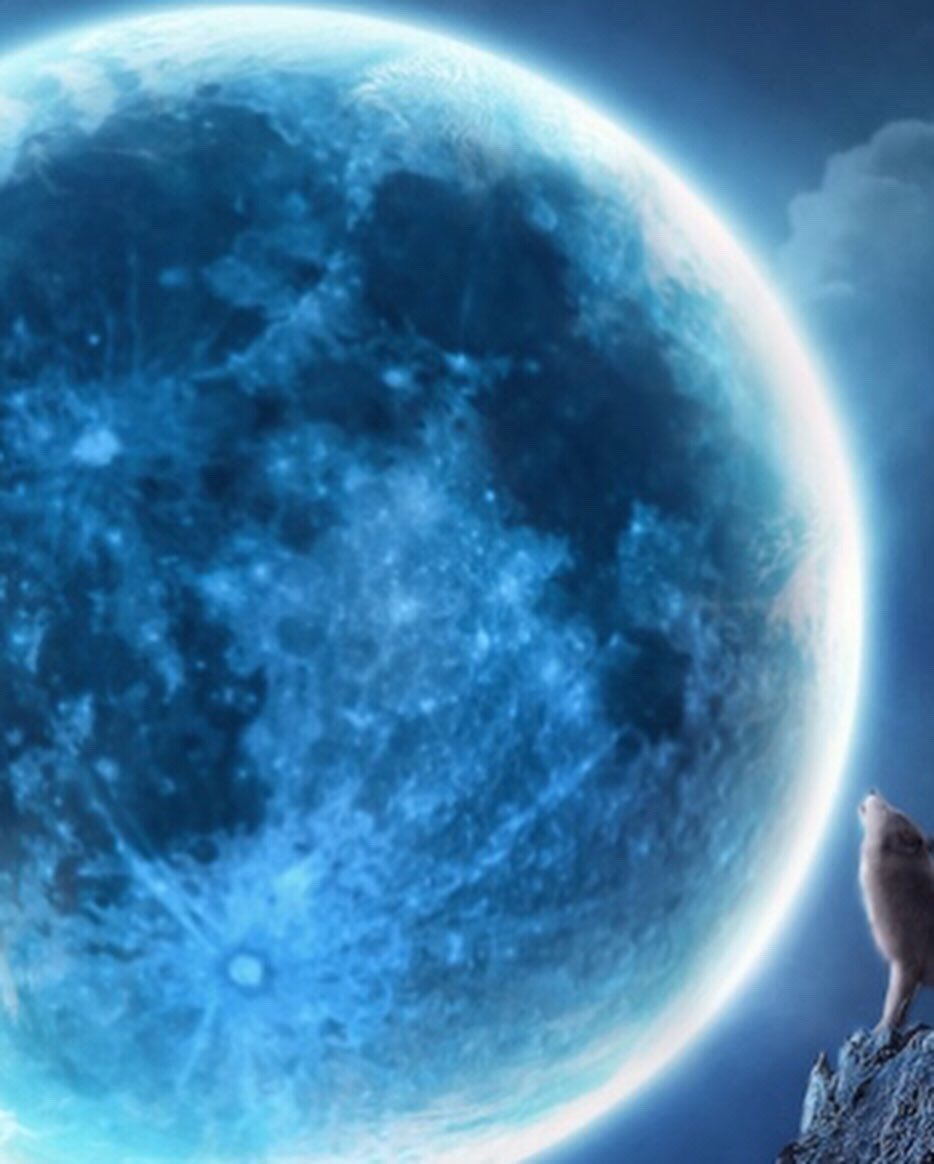 AlexisIacono's tweet photo. I rarely post about Horoscope hulabaloo but today the Sun enters #Gemini 👬#Release 💙While the Moon in #Scorpio 🦂 #Healing Feeling that intense intuitive sensual calm. Photo explains today. Bonding w/ #AlaskanTimberWolves #MyersBriggs #ESFJA #CarlJung #BabyScorpio 🦂👁#Howl https://t.co/ilVkwZkfOC