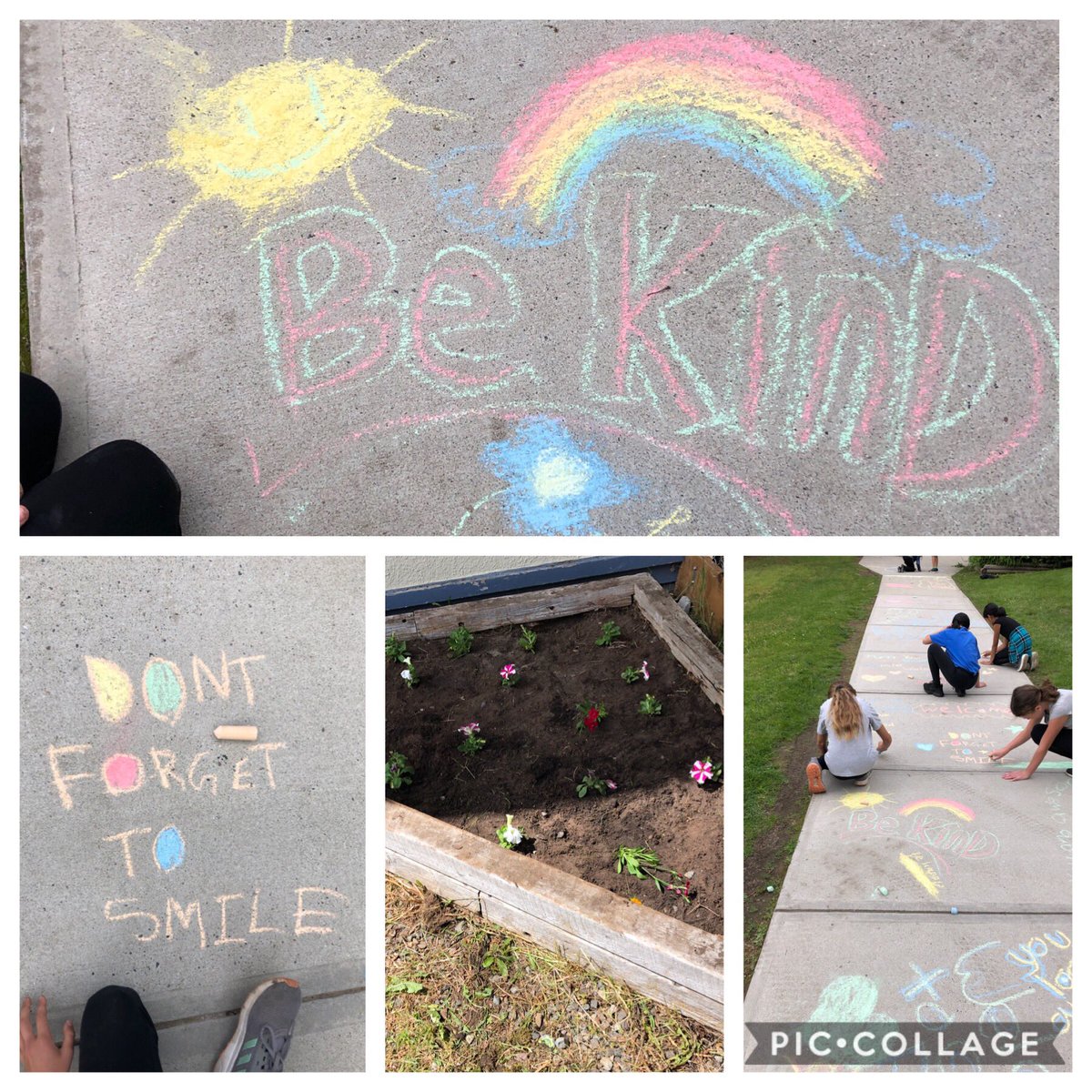 How can we share kindness around our school @crescentpark36 ? By weeding, planting and writing kind messages to brighten someone’s day 🌞🌸 #kindnessinquiry #sd36learn