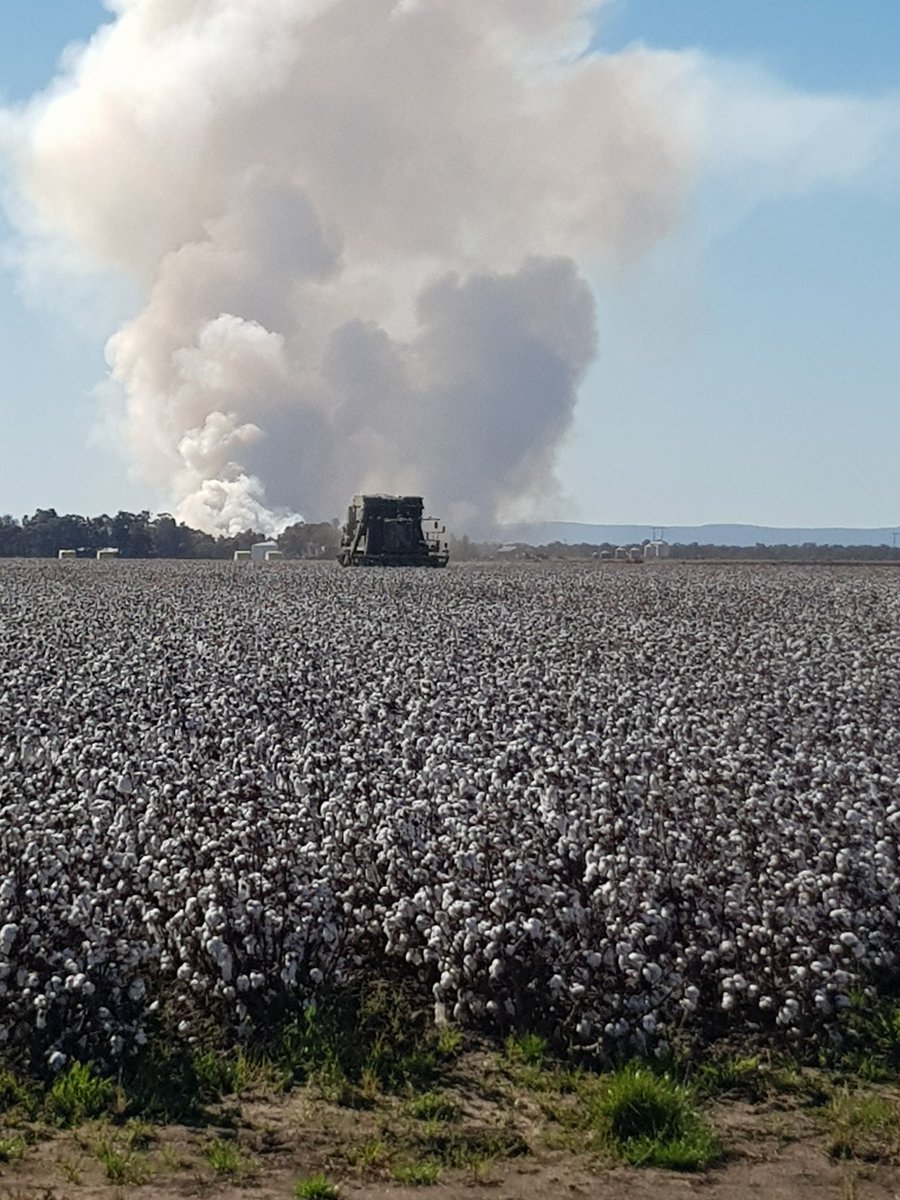 flewitt777's tweet photo. @zacstacey_  burning through the acres https://t.co/JIeWGWqkvD