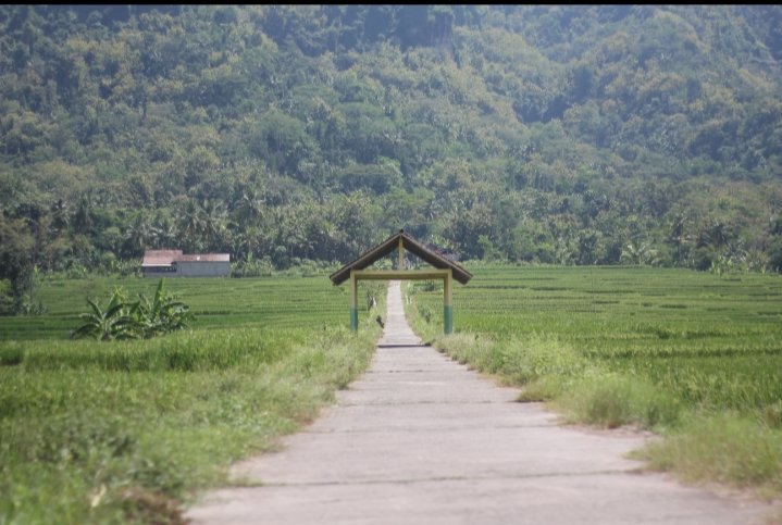 GawulWekWek_25's tweet image. #jogja #jogjapict #explorekulonprogo Dekso, Kulon Progo, Yogyakarta. @Jogja24Jam @JogjaUpdate @JogjaPict @watespahpoh