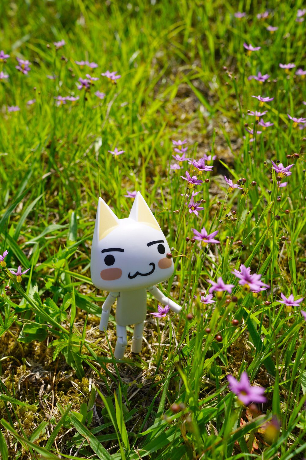 じゅんじゅん Twitter પર お花の小道を歩いたニャ こ んなにいっぱい咲いてたニャ どこでもいっしょ トロ 井上トロ Sonycat ぬい撮り 庭石菖 Sony A6000 トロ好きさんとつながりたい 光画部 ミラーレス 白猫 どこいつ周年 トロの背丈くらいの じゅんじゅん Twitter પર お花の小道を歩いたニャ こ んなにいっぱい咲いてたニャ どこでもいっしょ トロ 井上トロ Sonycat ぬい撮り 庭石菖 Sony A6000 トロ好きさんとつながりたい 光画部 ミラーレス 白猫 どこいつ周年 トロの背丈くらいの