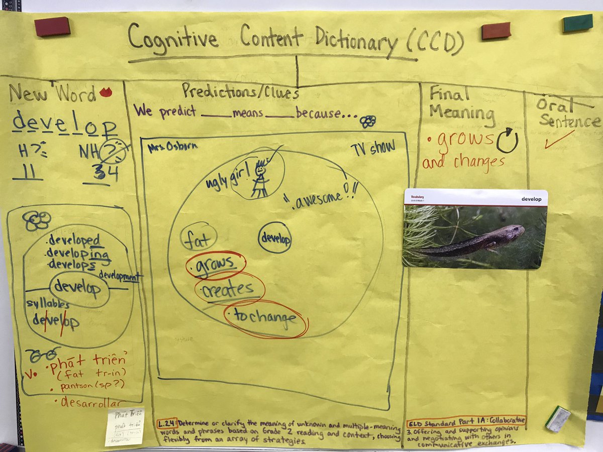 WeSupport_WSD's tweet photo. @OCDEProjectGLAD CCD with 2nd graders from @DemilleSchoolMC! @ThinkingMaps @westminstersd @GeniseB1 @wendymosborn https://t.co/2lnKpwQJD9