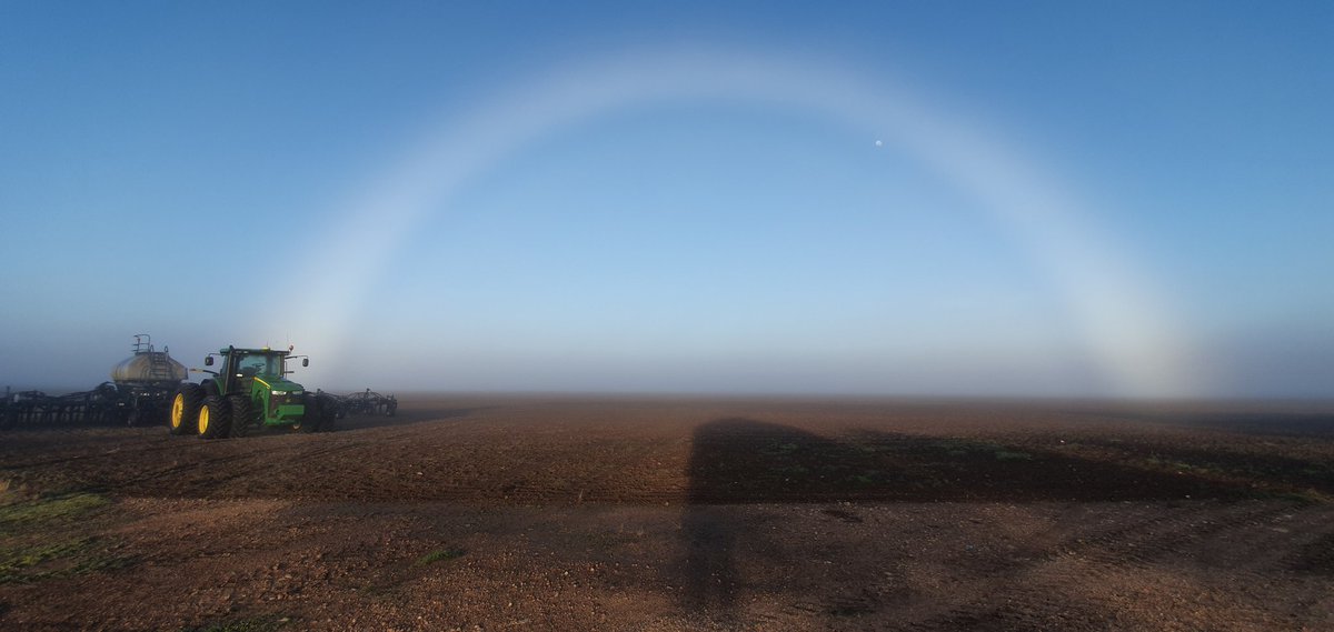 Tim Schulz tweet media