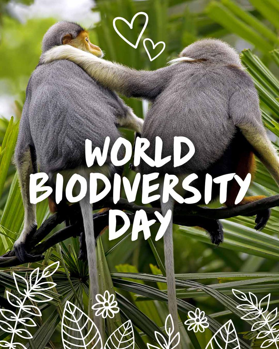 TheBodyShopAus's tweet photo. Today is #WorldBiodiversityDay 💚Like us, plants and animals need room to grow and our Bio-Bridges Mission is a step in the right directions. Let's help our lovely planet earth today and every day! 🌏
#TheBodyShopAust #FightForTheWild #BioBridges https://t.co/sCzGTu2VWr