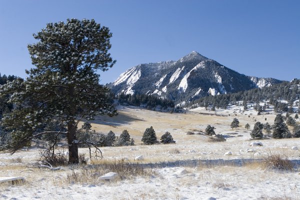 UCARSciEd's tweet photo. The Winter Weather Teaching Box comes in handy during the month of May in Colorado... https://t.co/6K45jWag0g
#WInterWeather #BoulderCO #SnowinginMay #UCARSciEd https://t.co/zStC9crEqq