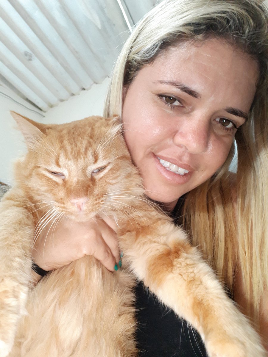 natapg's tweet photo. Amo os gatos https://t.co/Uarl6iyVzA