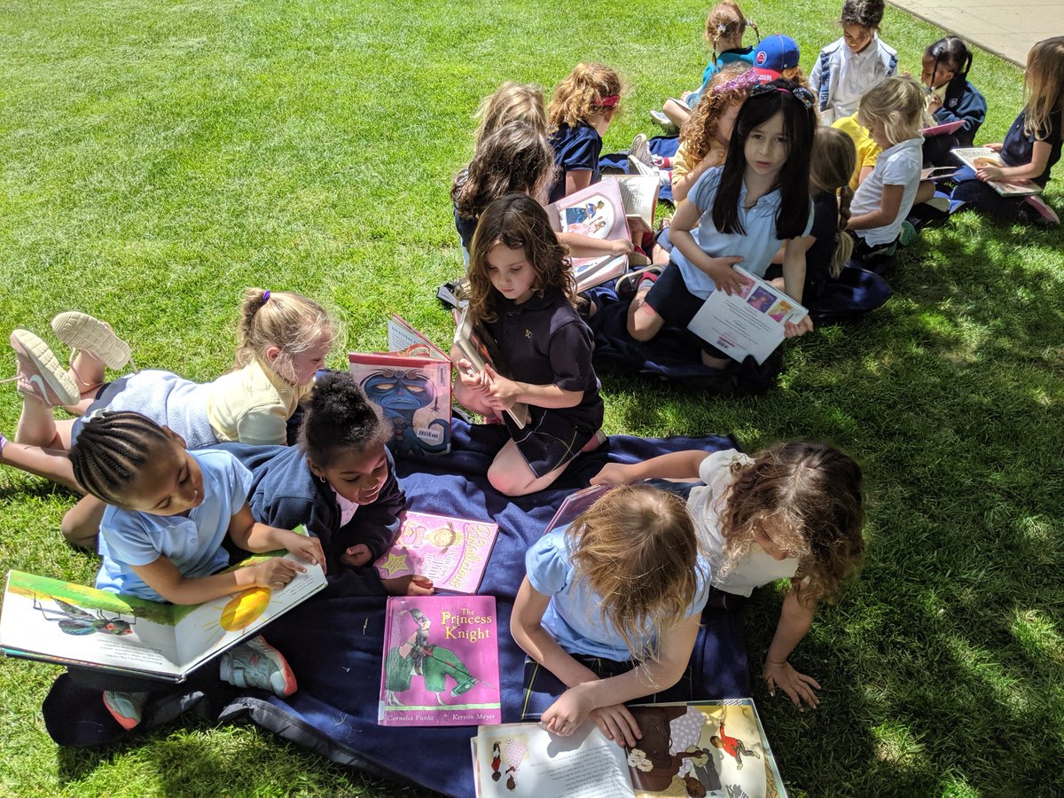 SCH Libraries tweet media