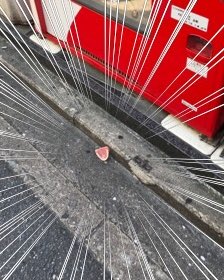 ひばり西新本店 ひばり西新本店