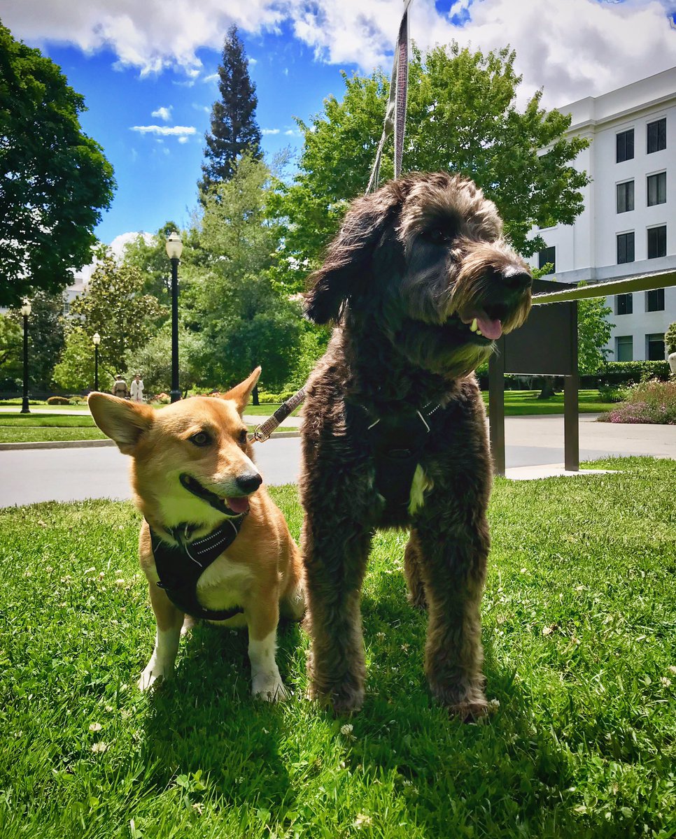 Colusa Brown tweet media