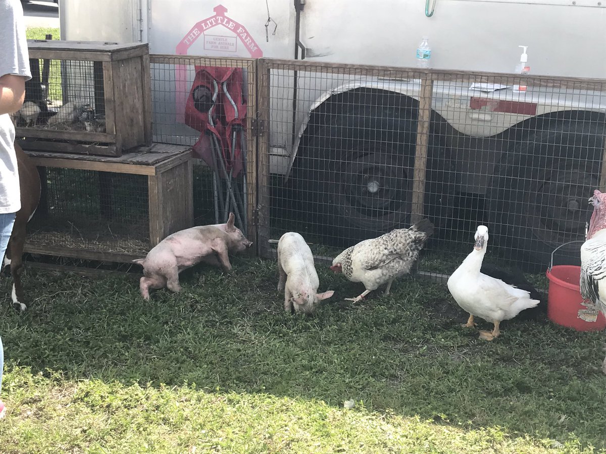miami_park's tweet photo. Our little pandas 🐼 from our Head Start program enjoyed their in-house field trip, learning about farm animals, environment, characteristics and more! So much fun while building background. @MDCPS_OECP @MDCPSCentral @MDCPS https://t.co/s6J4BKhVEO