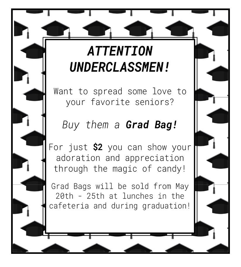 ATTENTION BHS UNDERCLASSMEN: show your appreciation for your senior friends by buying grad bags. They will be delivered directly to your seniors next week! @BburgHSBruins @klyndeBHS @PedersenBHS