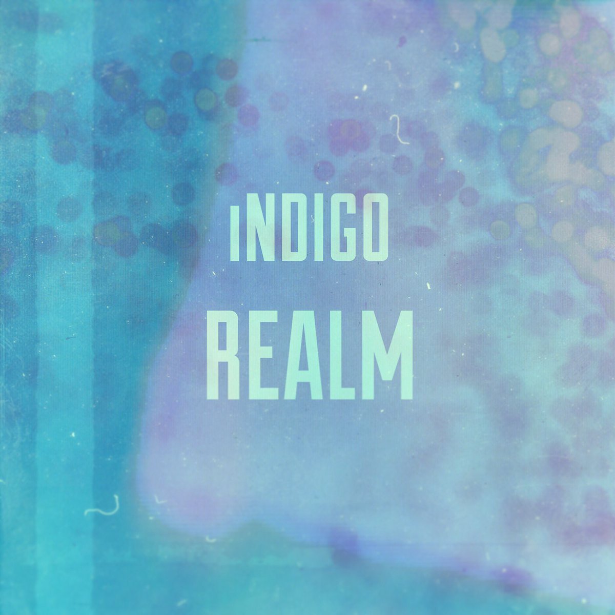 Indigo Realm tweet media