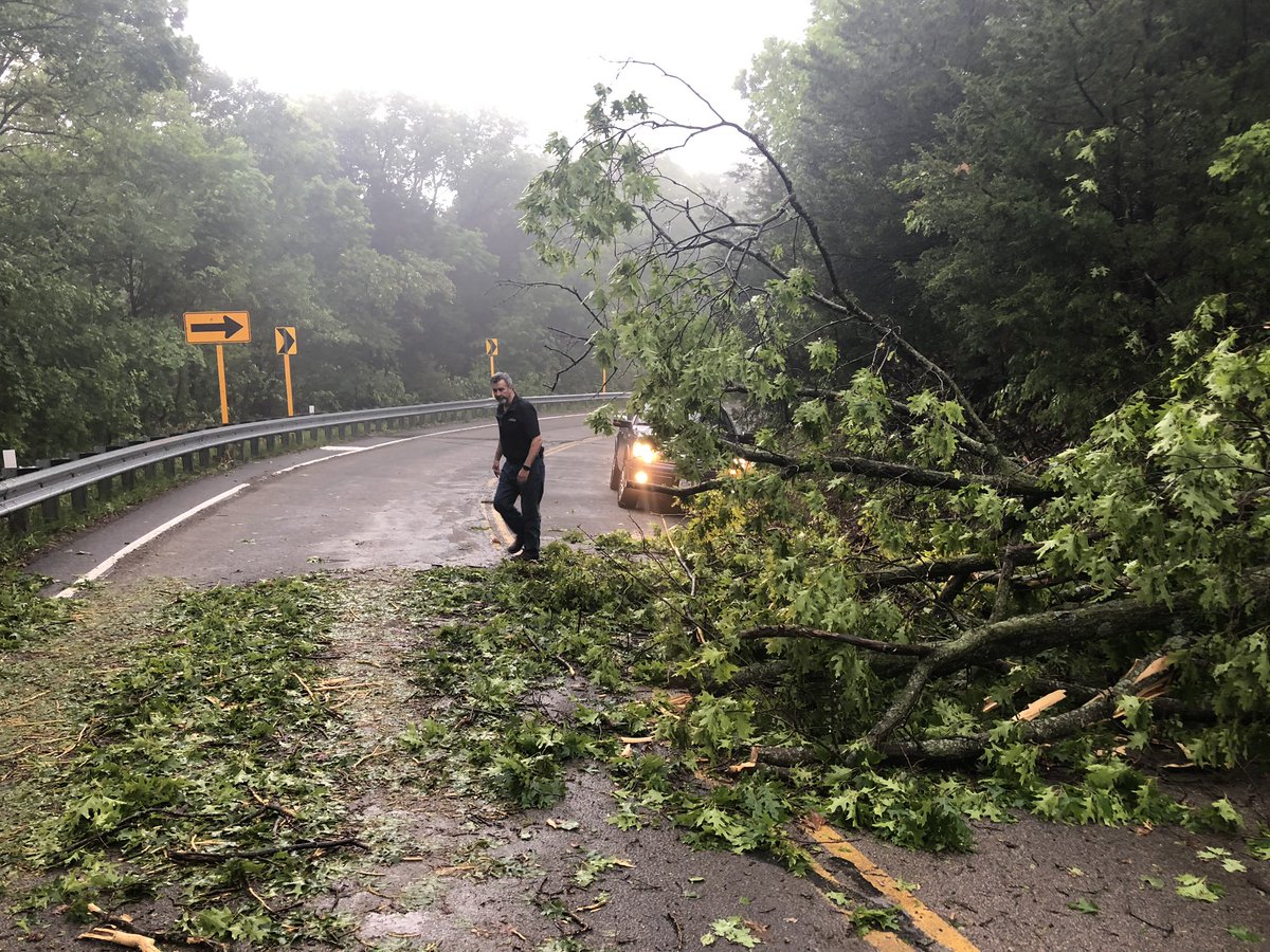 PDPJ's tweet photo. On 94 south of Augusta, multiple trees down across the road #stows https://t.co/vAeBD3gzdI