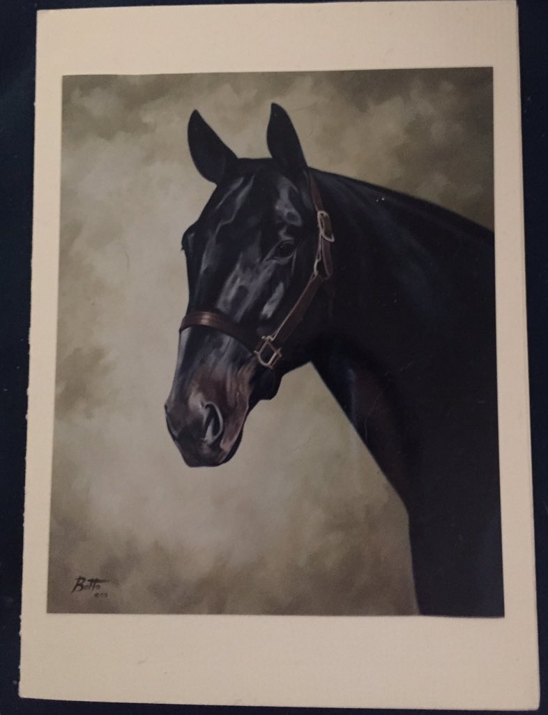 chadmoore1976's tweet photo. This was sent to me from @Hambletonian_ (Moira Fanning) what a nice gesture and I appreciate it. That @Breeders_Crown coat and hats are very nice and the hand written card makes me very happy to have them reach out to me in this time of illness. Thank you once again! @AndPacing https://t.co/KGNdn51xZ3