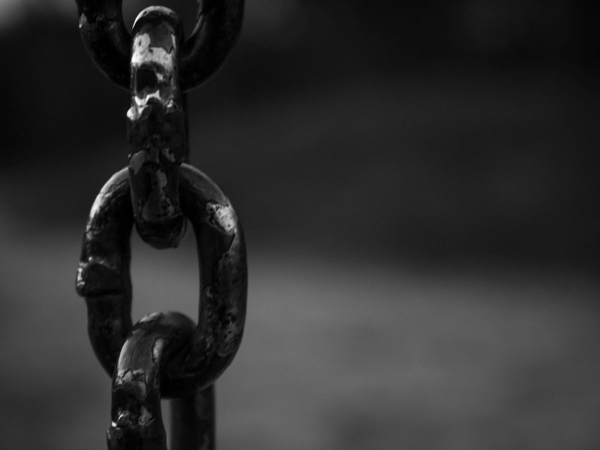 ProcurementAust's tweet photo. What is the Modern Slavery Act, and how does it affect procurement? Read Scott's short guide about it here, and register for our upcoming workshops for an in depth look at the Act.
https://t.co/HImZPzHspF
#modernslaveryact #supplychain #wegetprocurement #upskill #beintheknow https://t.co/A3T99wgKhT