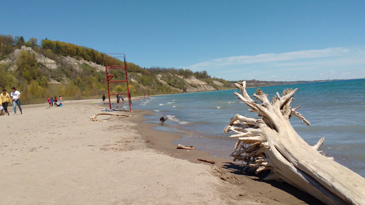 _4everlearning's tweet image. Spent a serene afternoon with my wonderful grade 8 students at the Scarborough Bluffs. Joy in the simple moments.
#enjoythemoment #CatholicEducator #ScarboroughBluffs