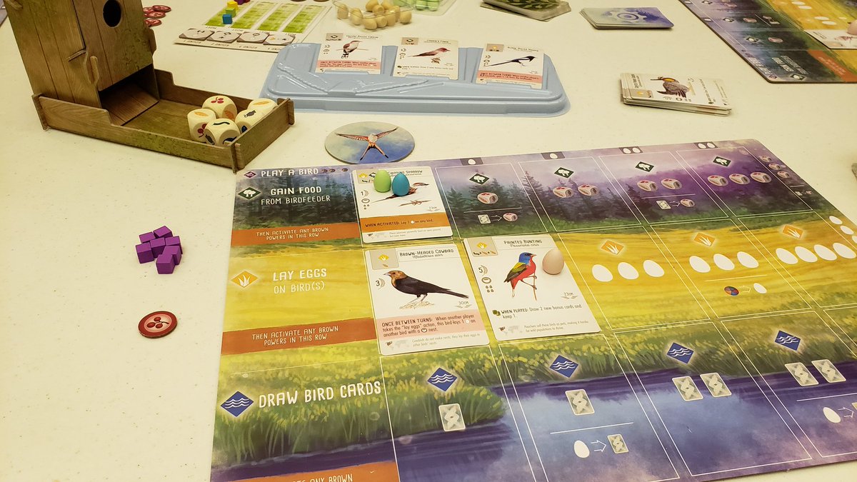 TheGaming_Maven's tweet photo. First play of Wingspan! Found a copy at at a local brick and mortar. I love birds and ornithology. Beautiful, intelligent, and fun. #BoardGames #wingspan #tabletop #boardgaming #newgames #birds #ornithology #birdnerd https://t.co/jQz8RyKjgC