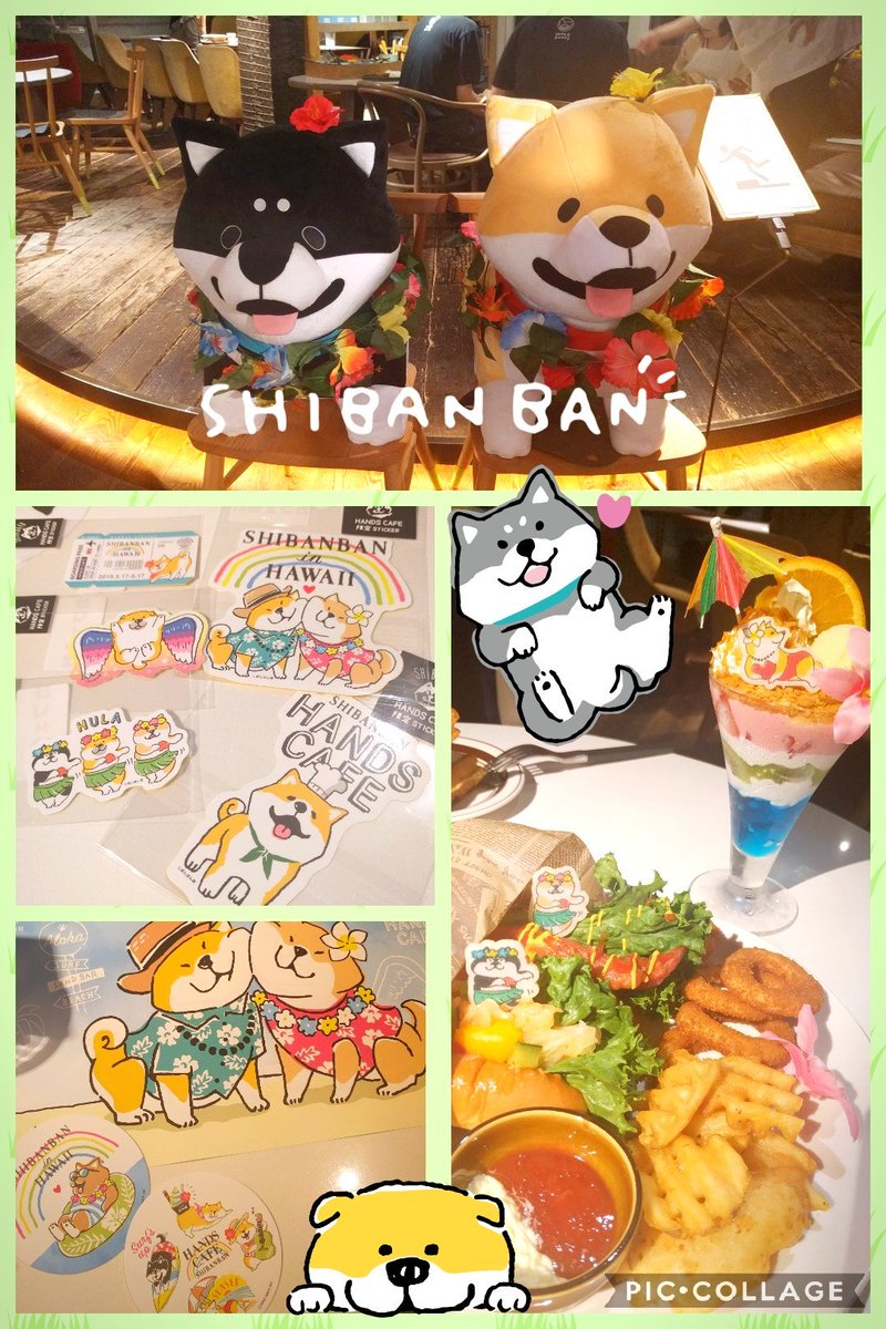 かいと 昨日コラボカフェでしばんばん愛でてきたよー 可愛いし メニューも安くて美味しいし こんな充実したコラボカフェあるんだ 笑 仕事終わりの妹に付き合ってもらったけど しばんばん愛を語ったら 狂ってるw とお褒めの言葉を頂きましたwww