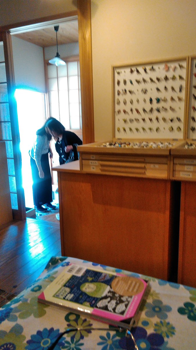 ラブバードテルアキ Lovebirdteruaki Twitter