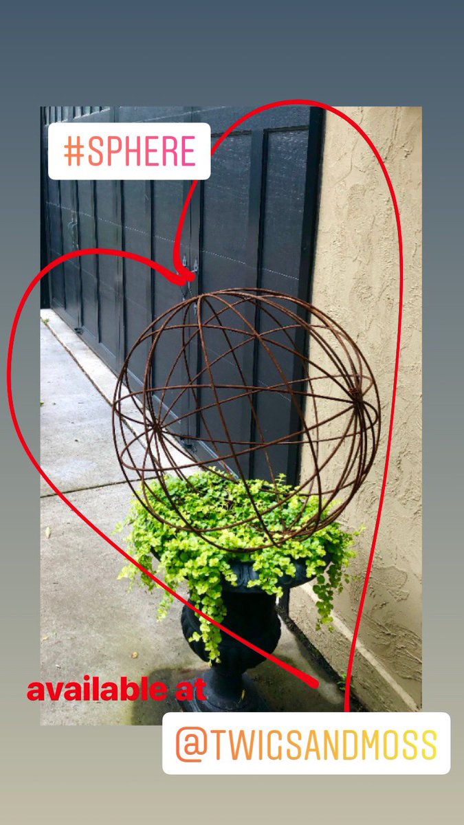 twigsandmoss's tweet photo. #sphere with low maintenance vine ... #urn done. ✔️ https://t.co/tiHeYM9mxZ
