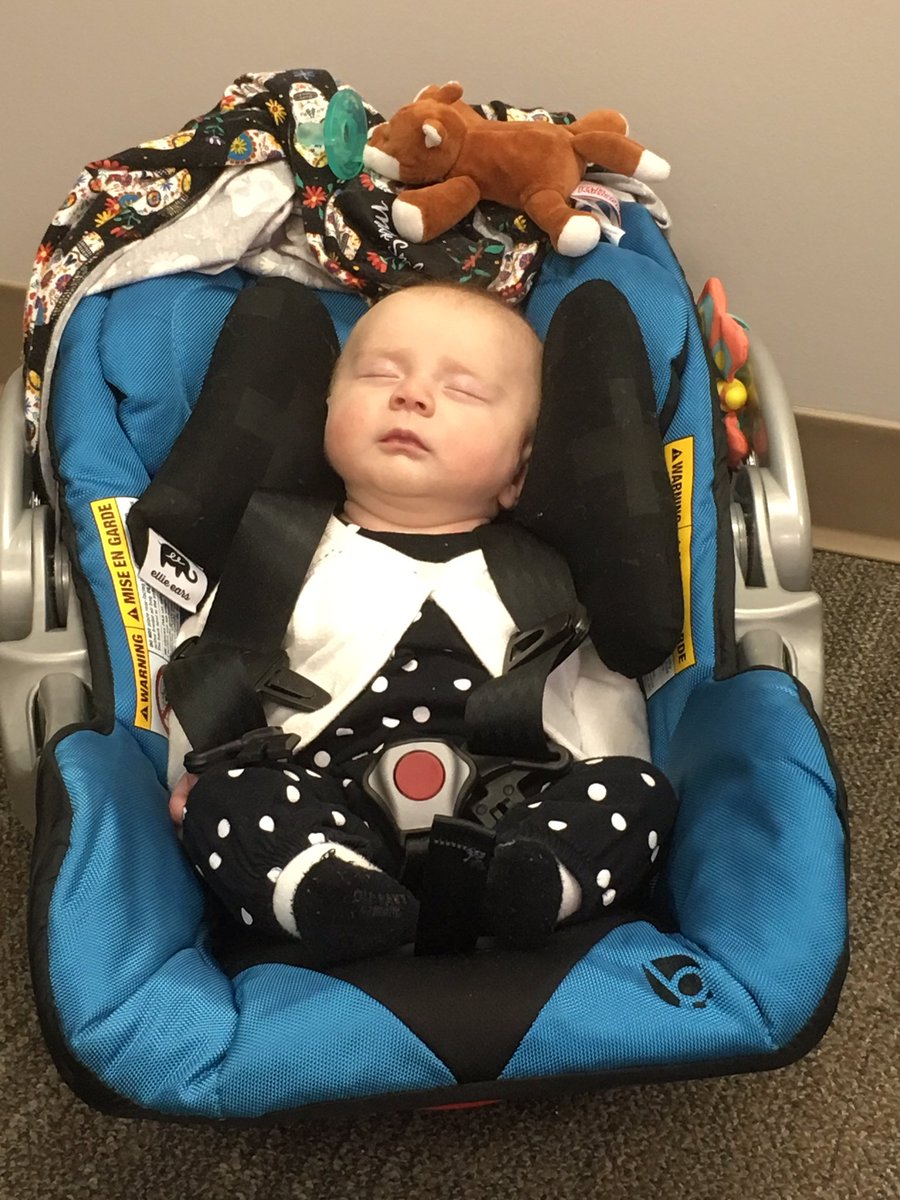 JadaAmoEA's tweet photo. The youngest member of Student Services working hard #workvisits @gardjill78 @SusMcKerral @MrsBiggs88 @k8_phil @SHoek2010 @kshan_11 https://t.co/VxhodVhTvF