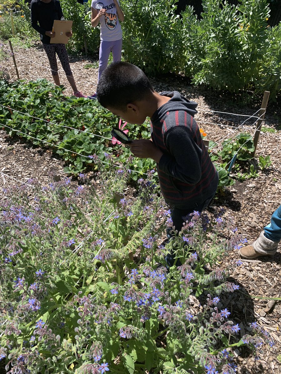 MichelleUelf's tweet photo. Our last outing to the garden! We have loved our garden time! Thank you @FitWitch13 https://t.co/Lij2bhVNf4