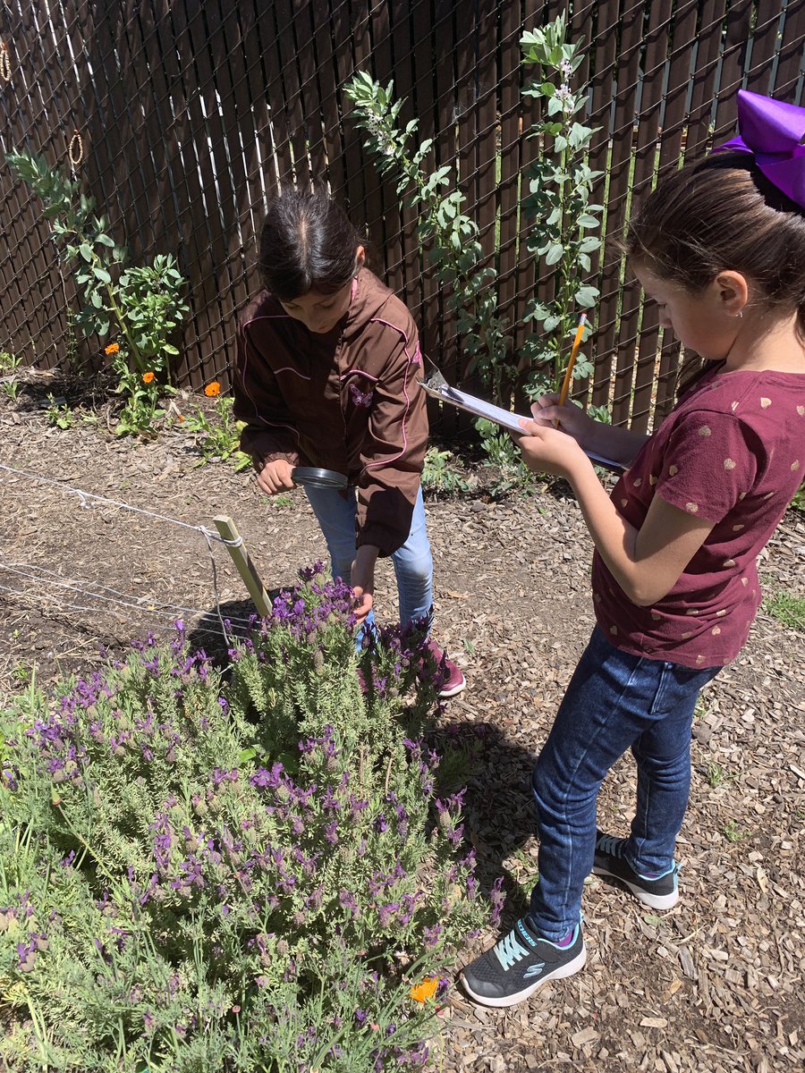 MichelleUelf's tweet photo. Our last outing to the garden! We have loved our garden time! Thank you @FitWitch13 https://t.co/Lij2bhVNf4