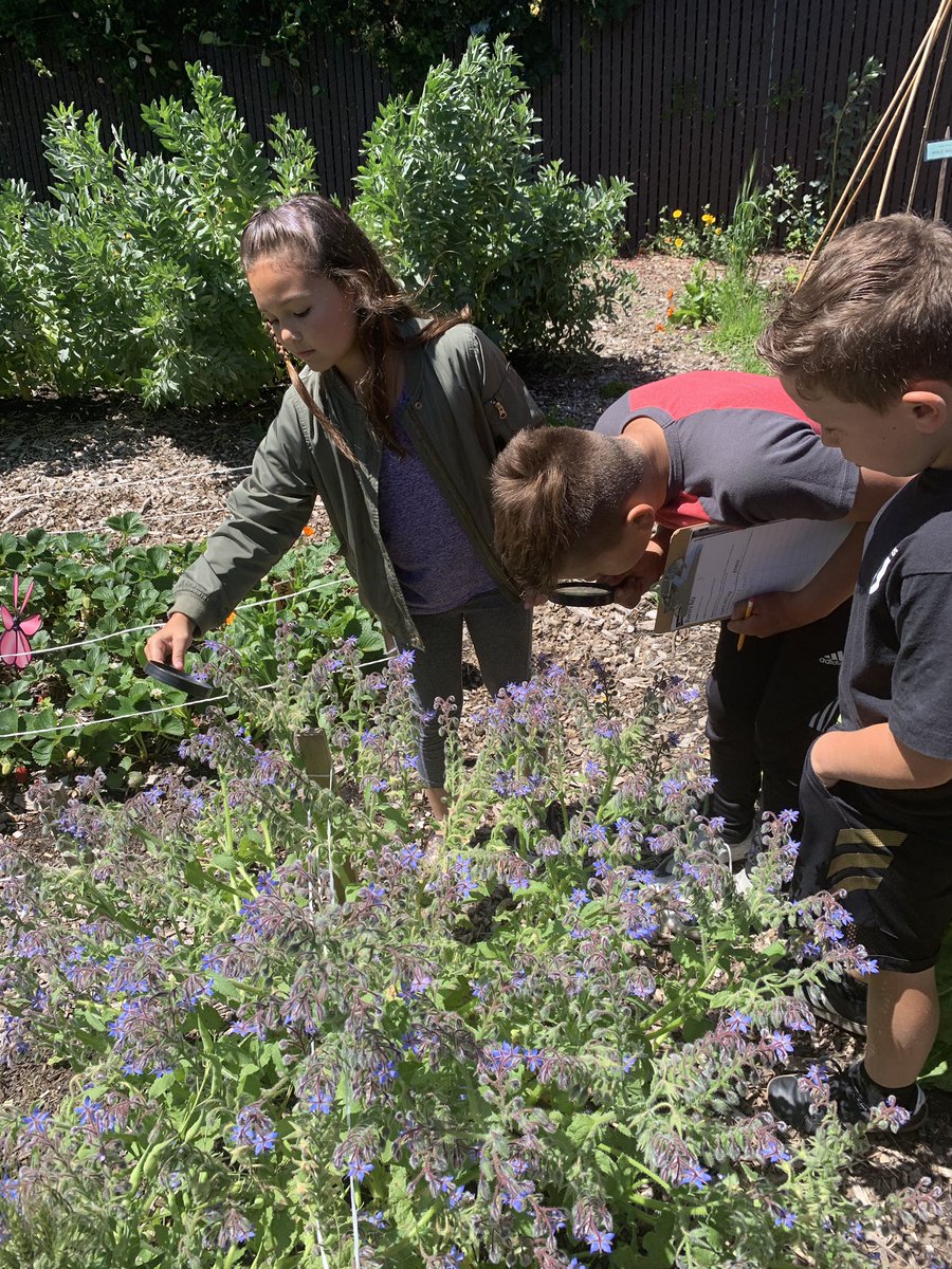 MichelleUelf's tweet photo. Our last outing to the garden! We have loved our garden time! Thank you @FitWitch13 https://t.co/Lij2bhVNf4