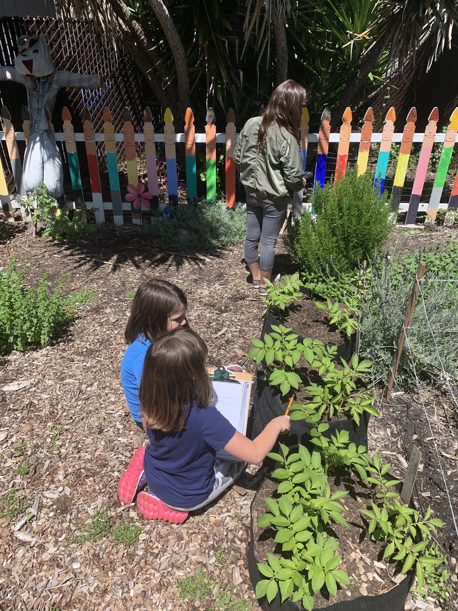 Our last outing to the garden! We have loved our garden time! Thank you @FitWitch13