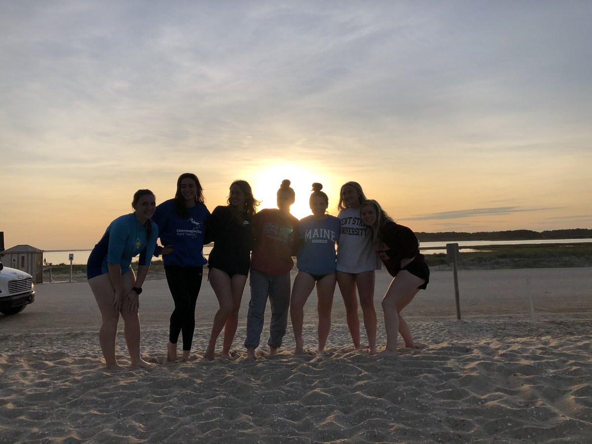 ldapes's tweet photo. beach day!! https://t.co/7zZQ26pL1E