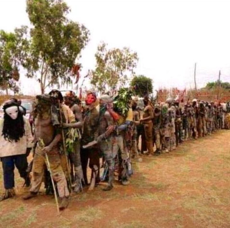 hlinkfitzgerald's tweet photo. this was on my friends WhatsApp story captioned: “election line kwa njombwa” koma, guys...😂 https://t.co/sCfiKvdzBs