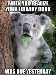 JPE Library tweet media