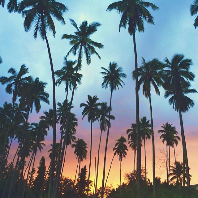PerfectDaysHI's tweet photo. The perfect way to go offline in paradise.

Watching nature paint the sky while the sun sets in Hawaii is one of the most magnificent experiences imaginable, and sets the stage for long, romantic walks on the beach and soothing twilight dips in the ocean… https://t.co/460nlnyFGR https://t.co/z3UvpZOpIT