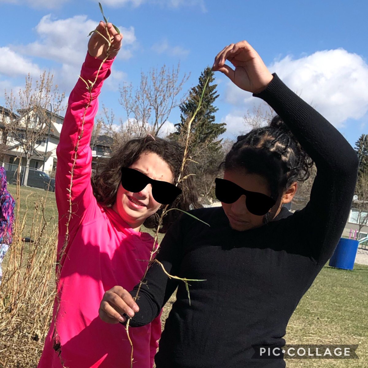 gatesleach's tweet photo. Ss wondered... Why is our school garden called a food forest? What is a food forest? 

Time to call in a community expert! Working with a professional permaculture consultant to learn more about our garden and explore ways to help it grow. #CBEscience #schooloutdoors https://t.co/IKKkx5FpJq