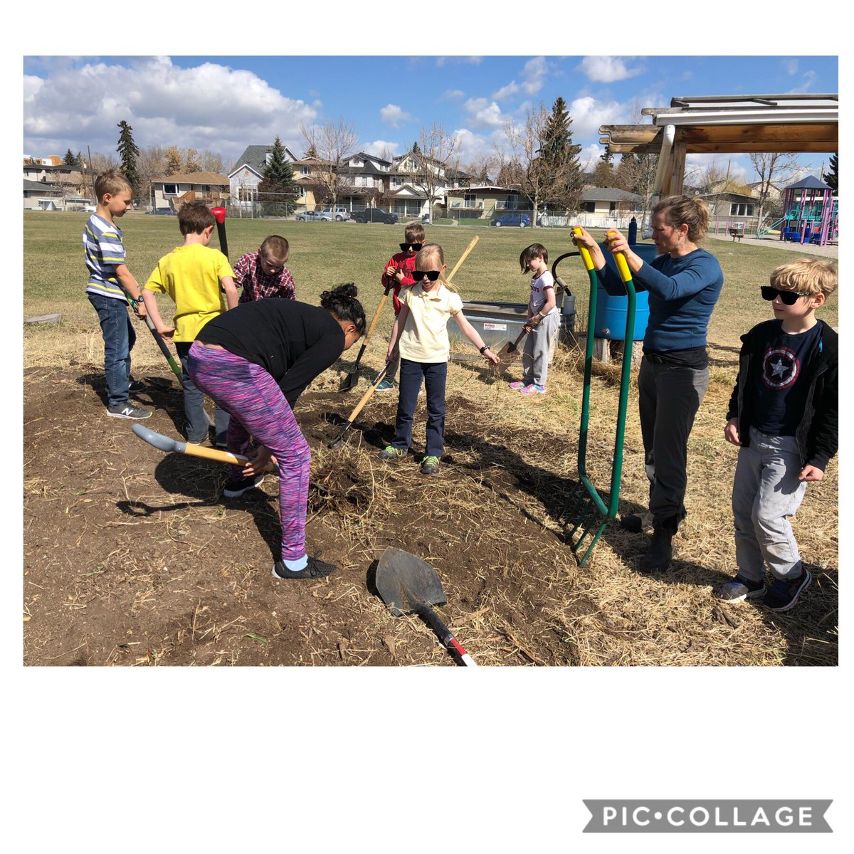 gatesleach's tweet photo. Ss wondered... Why is our school garden called a food forest? What is a food forest? 

Time to call in a community expert! Working with a professional permaculture consultant to learn more about our garden and explore ways to help it grow. #CBEscience #schooloutdoors https://t.co/IKKkx5FpJq