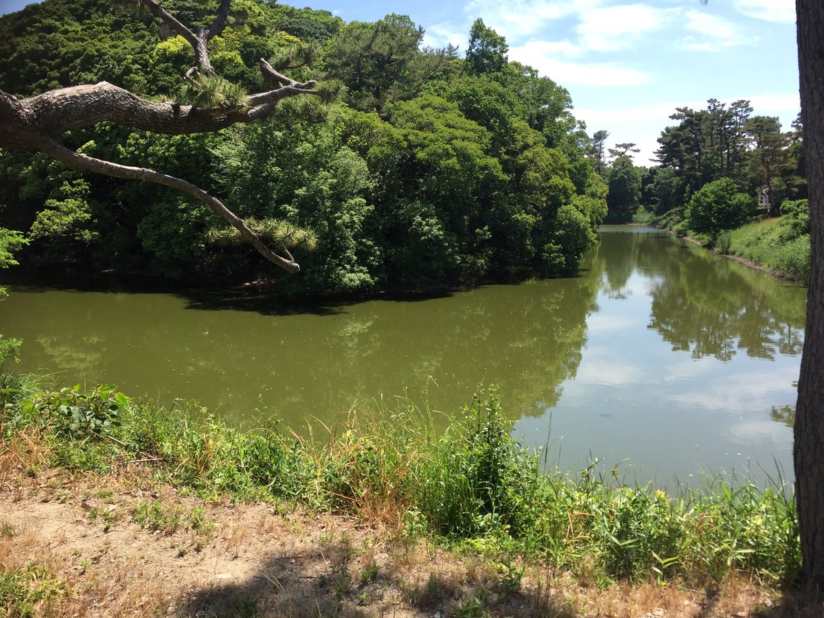 印刷可能 反正 天皇 陵 反正天皇陵古墳 読み方 Happygazojp